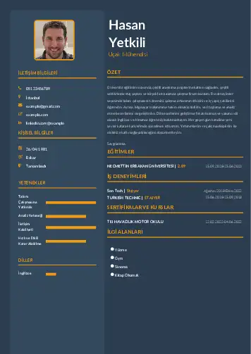 Havacılık Ve Uzay Uçak Mühendisi Cv Örnekleri cv indir